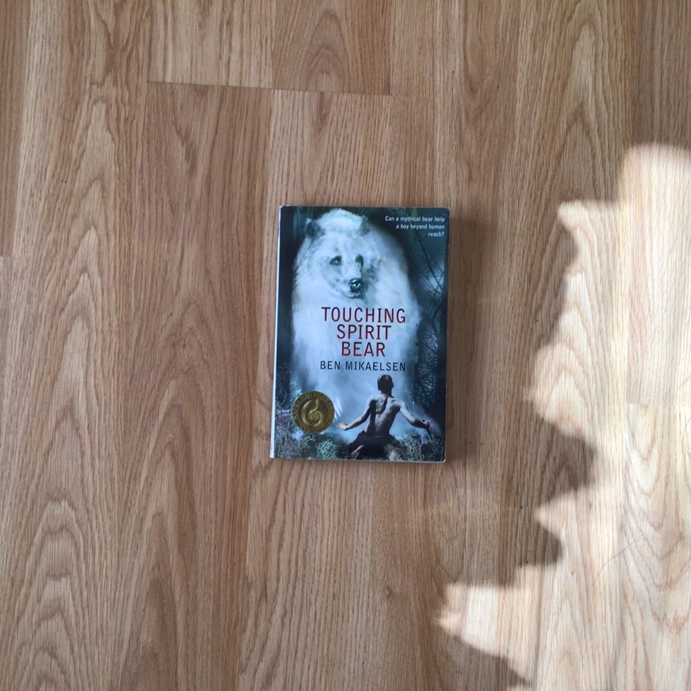 Touching Spirit Bear Book
